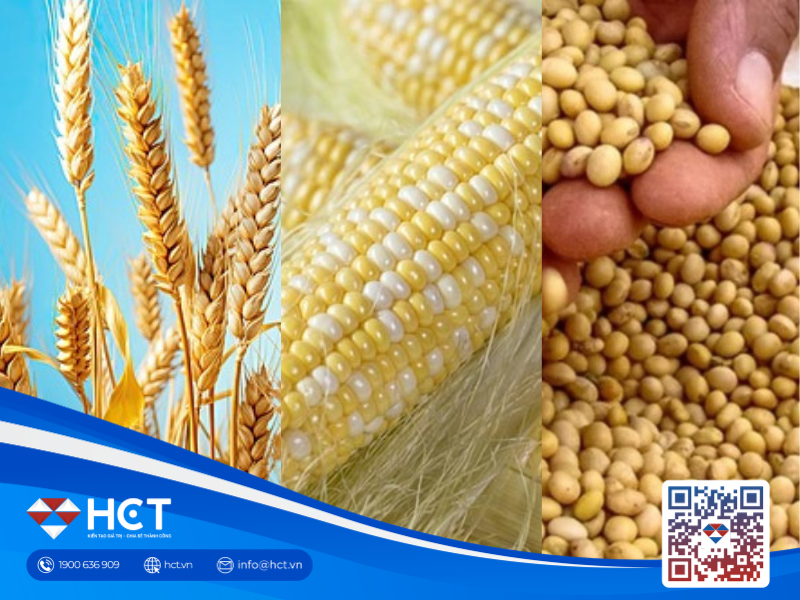 Nông sản 31/03: Cơn sốt mua ròng của các quỹ đầu cơ và áp lực mùa vụ Mỹ