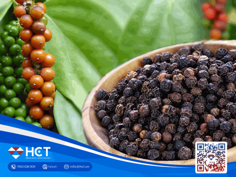 Hồ tiêu 31/3: Thị trường nội địa giảm mạnh, Indonesia lội ngược dòng