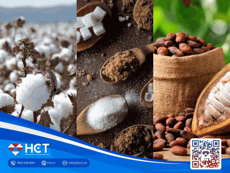 Nguyên liệu công nghiệp 31/03: Bông và đường khởi sắc theo giá dầu; ca cao chịu áp lực từ nguồn cung vụ giữa