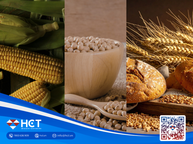 Nông sản 01/04: Diện tích lúa mì thấp kỷ lục, nông dân Mỹ chuyển sang đậu tương