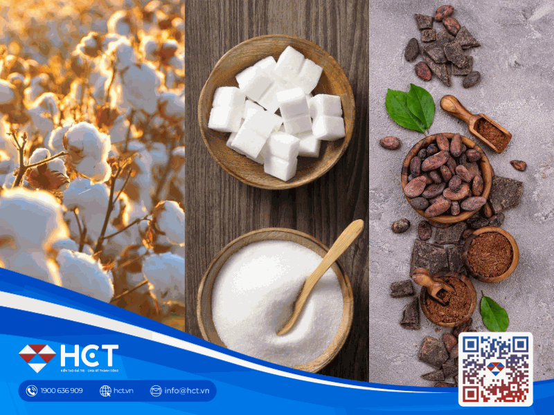 Nguyên liệu 1/4: Nguồn cung Bông và Đường tăng tốc, Ca cao đón tín hiệu tích cực từ vụ giữa