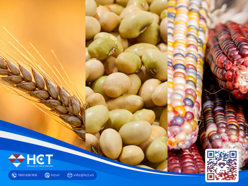 Nông sản 02/04: Diện tích lúa mì Mỹ thấp nhất 100 năm, Indonesia đẩy mạnh Biodiesel