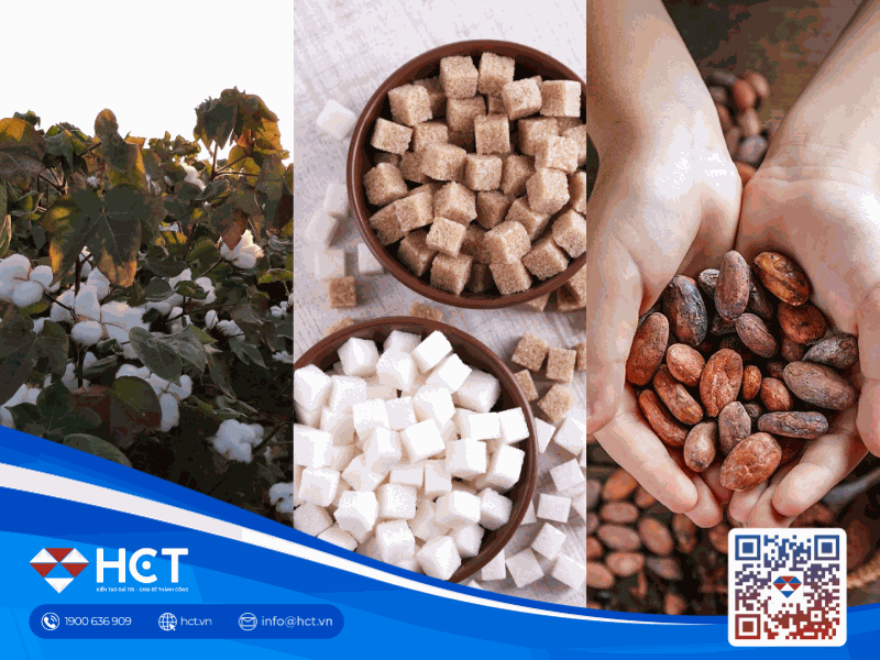 Thị trường nguyên liệu công nghiệp 3/4: Bông tăng diện tích trồng, Đường và Ca cao nỗ lực tìm điểm cân bằng trước áp lực nguồn cung