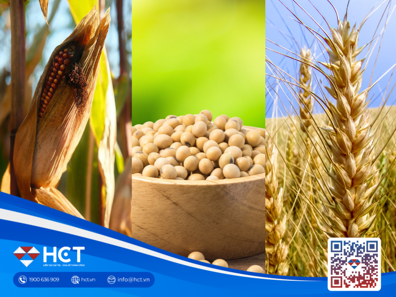 Nông sản 06/04: Xuất khẩu lúa mì Mỹ tăng tốc, biên lợi nhuận ép dầu đạt đỉnh