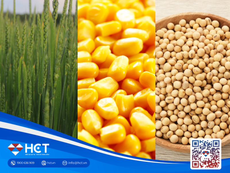 Nông sản 07/04: Lúa mì Mỹ thấp kỷ lục, dầu đậu nành lập đỉnh mới