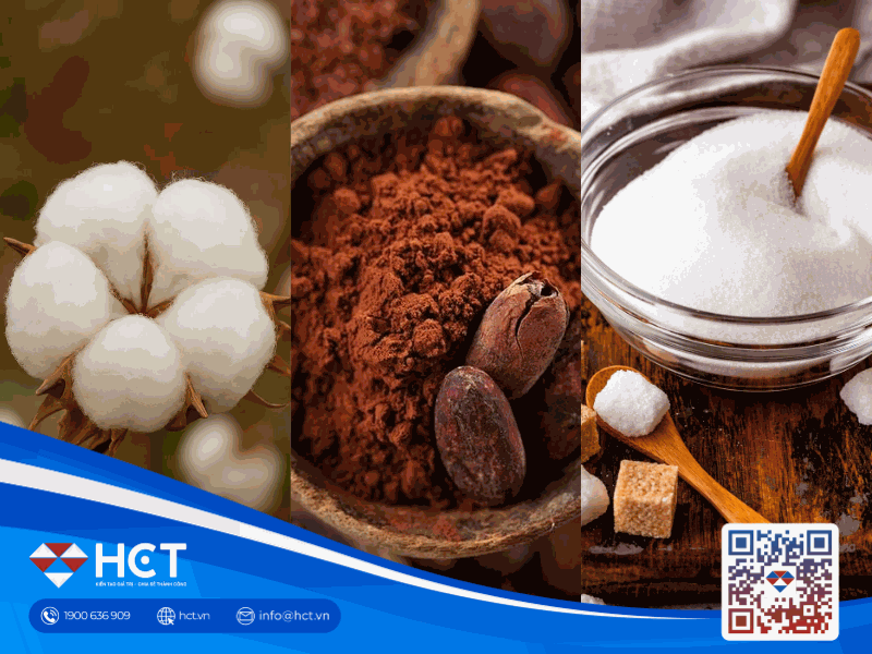 Nguyên liệu công nghiệp 7/4: Bông tăng vọt do hạn hán, Ca cao và Đường đối mặt nỗi lo cung - cầu