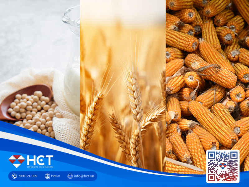 Nông sản 08/04: Nguy cơ thắt chặt tồn kho lúa mì và "sức nóng" từ dầu đậu tương