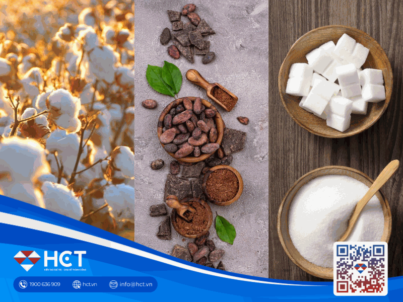 Giá Bông, Ca cao và Đường hôm nay 8/4: Sức ép từ hạn hán và rủi ro nguồn cung toàn cầu