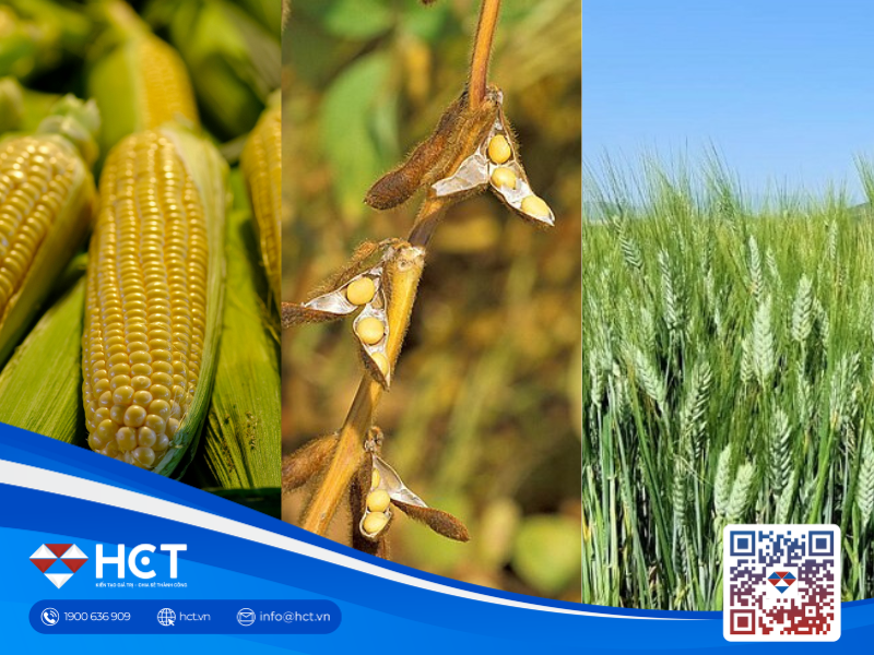 Nông sản 09/04: Sản lượng Ethanol Mỹ phục hồi, áp lực từ nguồn cung lúa mì Nga