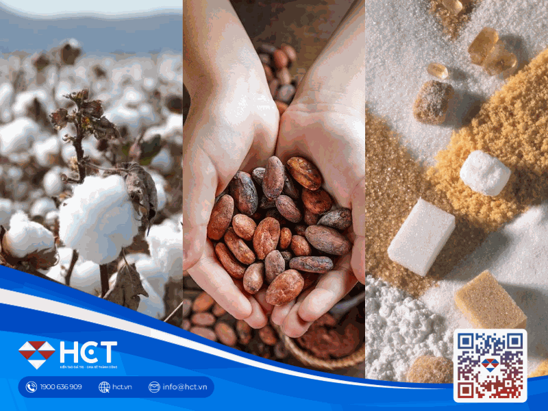 Thị trường nguyên liệu 9/4: Giá Bông hướng tới đỉnh mùa vụ tháng 5, Ca cao và Đường đối mặt rủi ro thời tiết