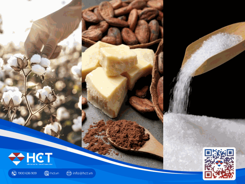 Giá Bông, Ca cao và Đường ngày 10/4: Nhu cầu phục hồi đối mặt với rủi ro nguồn cung thắt chặt