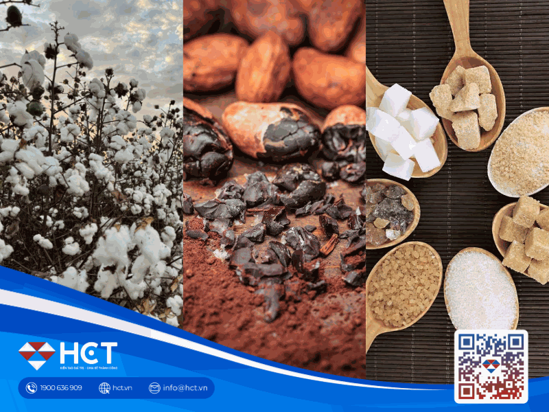 Nguyên liệu công nghiệp 13/4: Giá Bông hưởng lợi từ USD yếu, rủi ro thời tiết đe dọa cung Đường và Ca cao