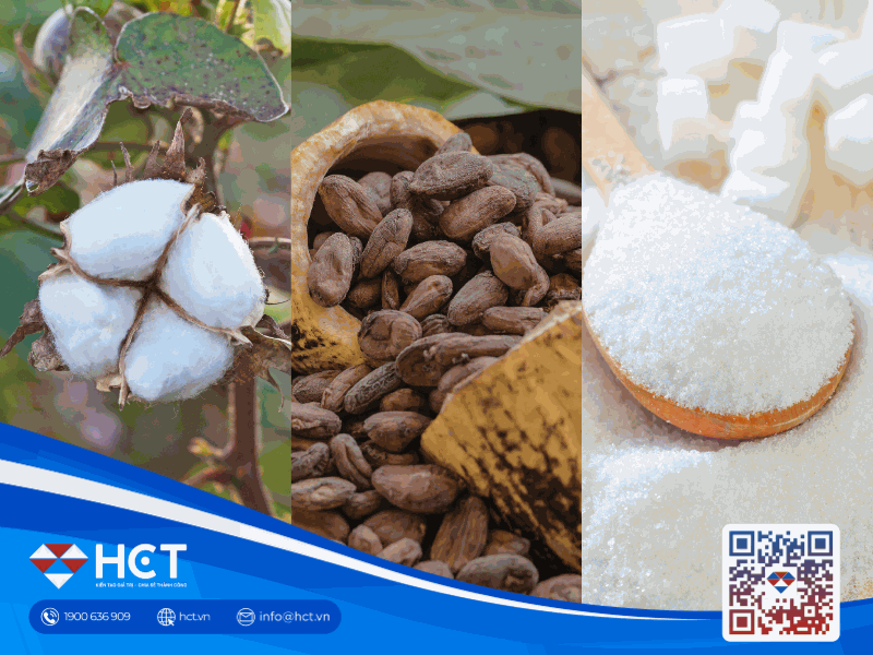 Nguyên liệu công nghiệp 14/4: Giá Bông lập đỉnh mới, rủi ro El Niño đe dọa cung Đường và Ca cao