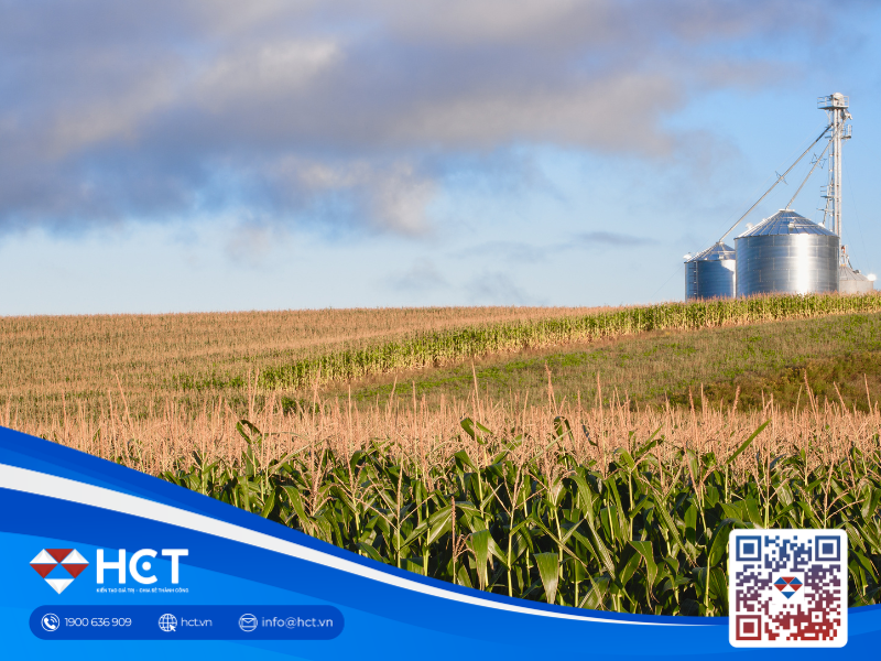 Nông sản 15/04: Lúa mì Mỹ đối mặt rủi ro hạn hán, Brazil nâng dự báo sản lượng kỷ lục