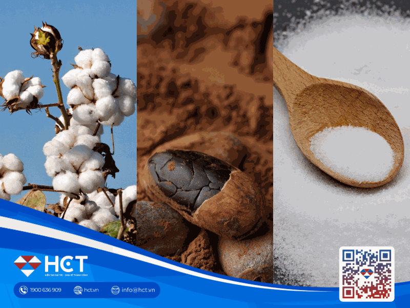 Giá Bông, Đường và Ca cao 16/4: Áp lực từ đồng USD và chính sách Ethanol mới của Brazil