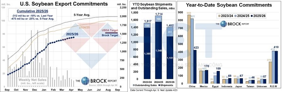 Tốc độ bán đậu tương hiện tại 