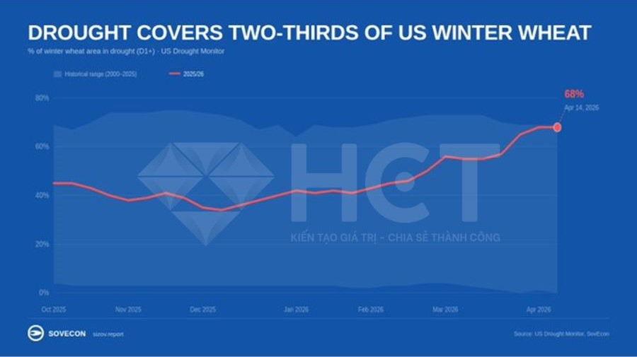 Tình hình lúa mì vụ đông của Mỹ 