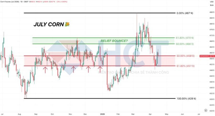 Giá ngô bật tăng tại vùng hỗ trợ quan trọng 