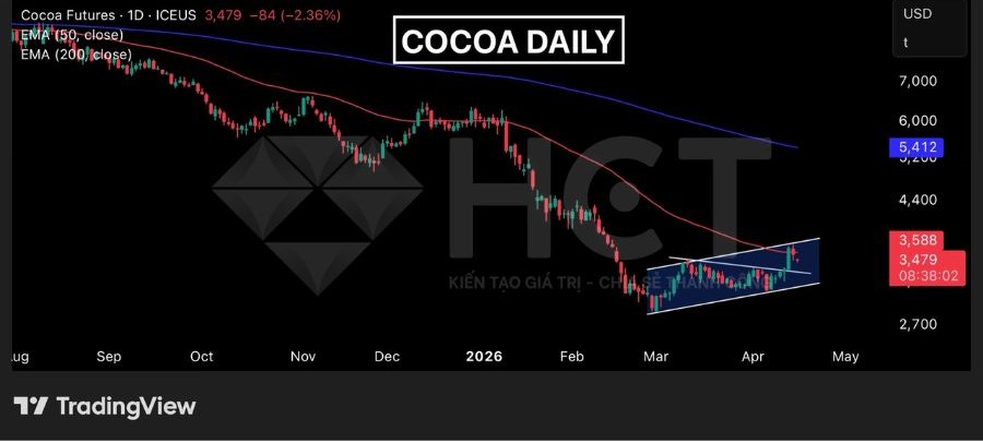 Ca cao phát tín hiệu hồi phục ngắn hạn