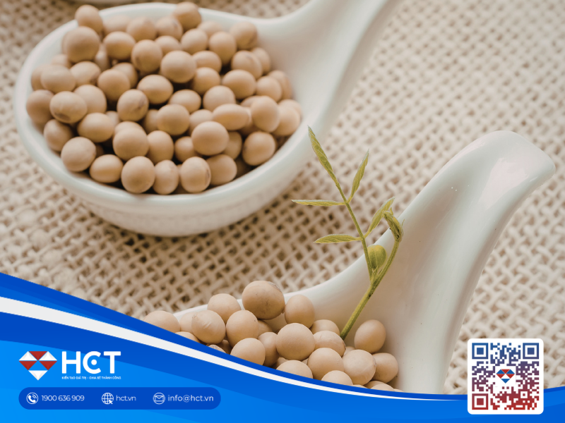 Nông sản 17/04: Ngành ép dầu Mỹ áp sát kỷ lục, Argentina nâng dự báo sản lượng ngô