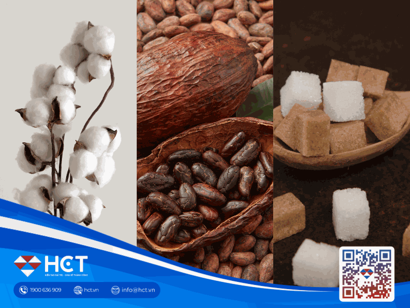 Thị trường nguyên liệu công nghiệp 17/4: Xuất khẩu Bông Mỹ giảm sâu, cầu Ca cao châu Âu suy yếu