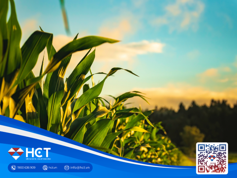 Nông sản 20/04: Hạn hán bủa vây lúa mì Mỹ, eo biển Hormuz đóng cửa đẩy giá dầu tăng