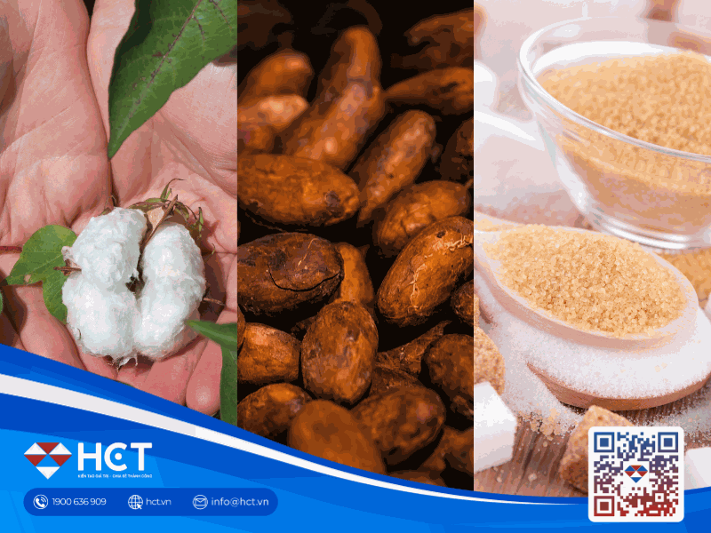 Nguyên liệu công nghiệp 20/4: Mỹ siết chặt nhập khẩu Đường, xung đột Iran ảnh hưởng giá Ca cao