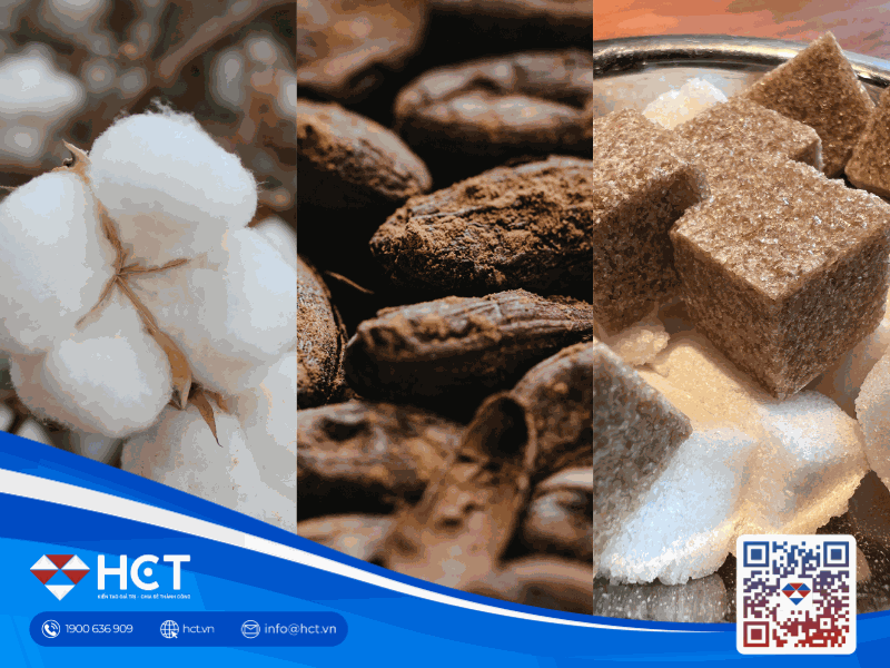 Thị trường nguyên liệu công nghiệp 21/4: Giá Bông neo cao kỷ lục, cung Đường dư thừa áp đảo