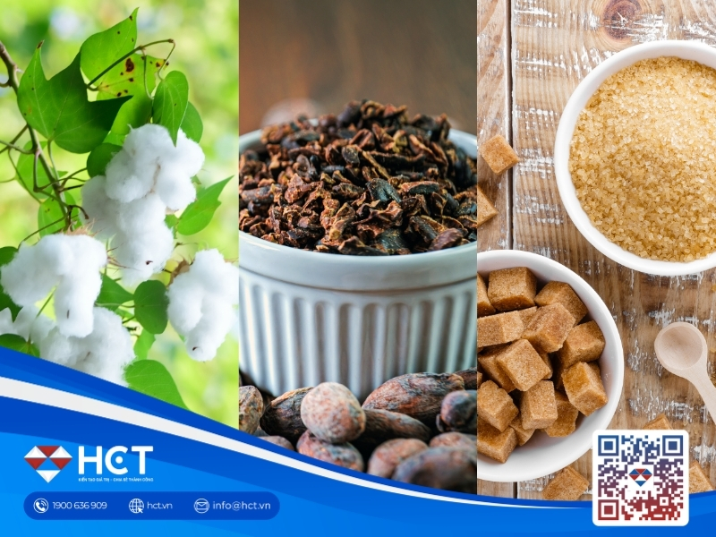 Giá Bông, Đường và Ca cao 22/4: Ethanol là "phao cứu sinh" cho ngành Đường, hạn hán hỗ trợ giá Bông