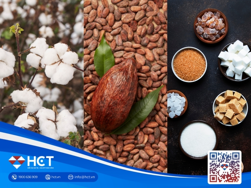 Nguyên liệu công nghiệp 23/4: Nhu cầu sợi Bông bùng nổ, rủi ro El Niño thắt chặt cung Đường và Ca cao