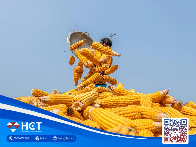 Nông sản 24/04: Hạn hán tại Mỹ nghiêm trọng hơn, rủi ro quân sự tại eo biển Hormuz