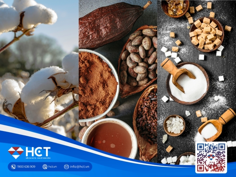 Nguyên liệu 27/4: Ca cao hình thành vùng đáy, giá Đường nhen nhóm phục hồi, Bông Mỹ đối mặt hạn hán