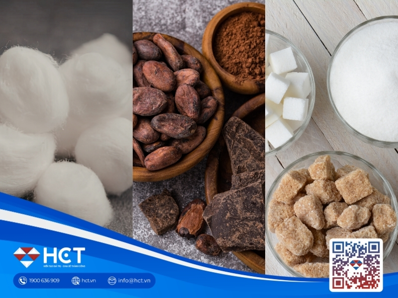 Nguyên liệu công nghiệp 28/4: Bông Mỹ khát mưa kỷ lục, Ca cao tạo đáy, Đường chờ Ethanol