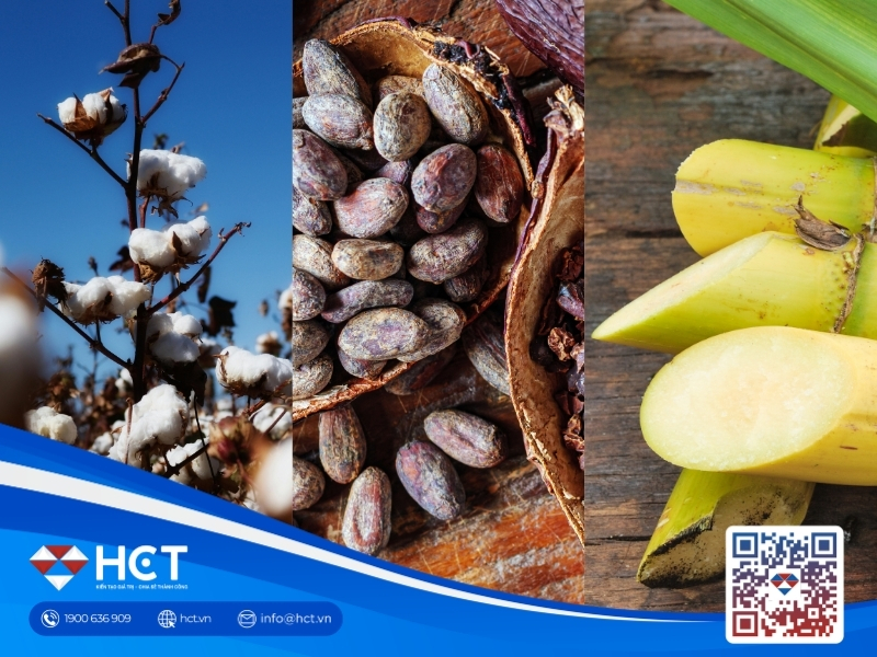 Nguyên liệu 30/4: Giá Bông đạt ngưỡng quá mua, sản lượng Đường Brazil giảm mạnh, thặng dư Ca cao thắt chặt