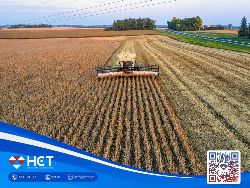 Nông sản 30/04: Sản lượng lúa mì toàn cầu dự báo giảm mạnh, EU siết chặt kiểm soát GMO