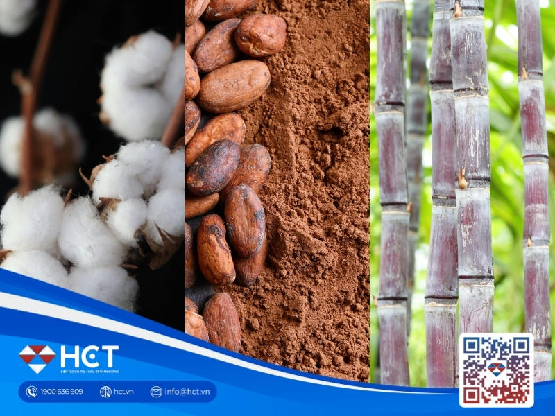 Nguyên liệu 1/5: Xuất khẩu Bông sang Việt Nam tăng mạnh, sản lượng Đường Brazil giảm 11,9%, Ca cao lo ngại El Niño