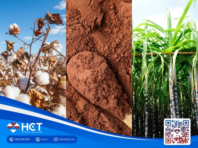 Nguyên liệu 4/5: Bông Mỹ lập đỉnh theo giá dầu, Đường khan hiếm, Ca cao đón tín hiệu phục hồi