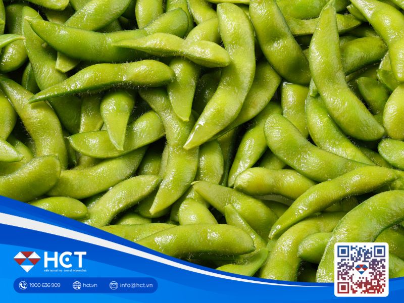 Nông sản 05/05: Lúa mì Mỹ đối mặt chất lượng thấp nhất 3 năm, giá dầu vọt tăng hỗ trợ nhóm ngũ cốc
