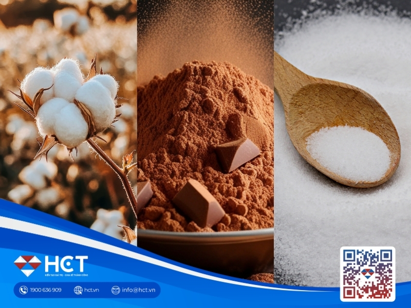 Nguyên liệu công nghiệp 7/5: Thỏa thuận Mỹ - Iran làm khó giá Đường, Bông Mỹ vững đà tăng, Ca cao bứt phá kỹ thuật