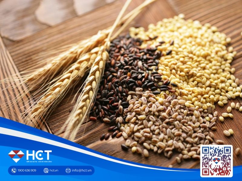 Nông sản 11/05: Lúa mì giữ đà tích cực, đậu tương chờ tín hiệu từ Mỹ - Trung, ngô chịu áp lực nguồn cung Nam Mỹ