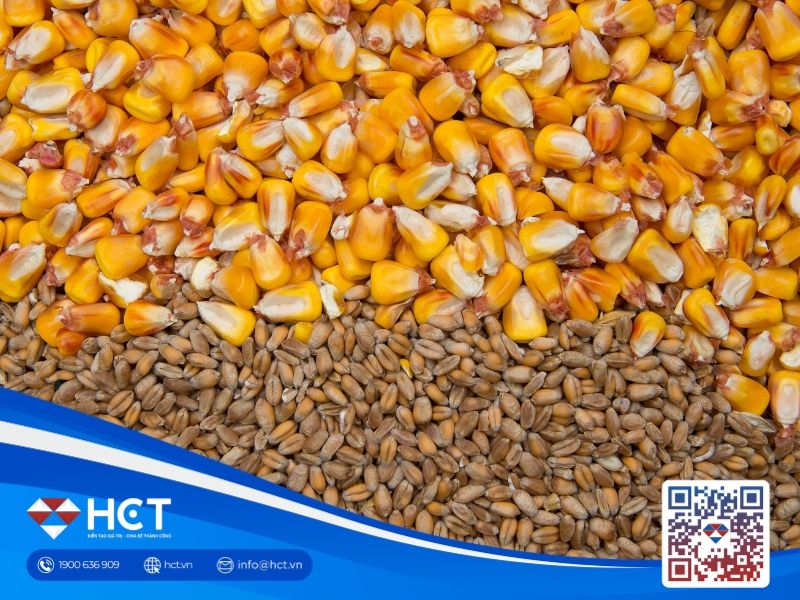 Nông sản 18/05: Lúa mì Kansas xuống năng suất thấp nhất từ 2023, đậu tương chịu áp lực chốt lời