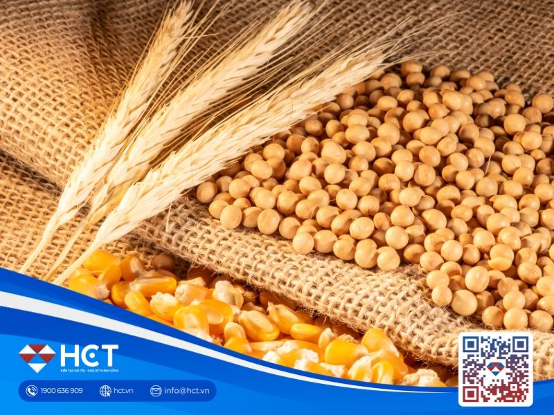 Nông sản 19/05: Lúa mì Nga chậm gieo trồng, đậu tương Mỹ duy trì nhu cầu ép dầu mạnh