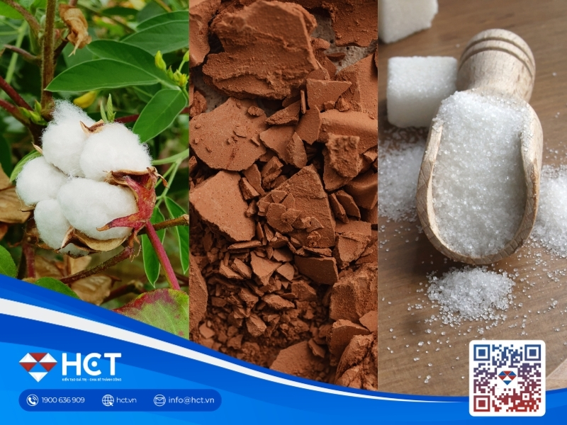 Nguyên liệu 22/5: Áp lực tài chính đè nặng vành đai Bông, giá dầu kéo tăng giá Đường, cầu Ca cao hồi phục