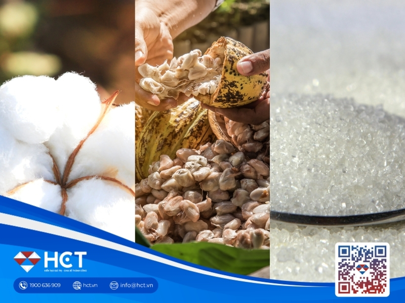 Nguyên liệu 27/5: Thời tiết thuận lợi giải tỏa áp lực cho Bông và Ca cao, áp lực dư cung bủa vây ngành Đường