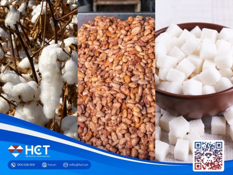 Nguyên liệu 4/6: Bờ Biển Ngà phòng vệ nguồn cung Ca cao, Brazil thay đổi cơ cấu ngành Đường, vành đai Bông Mỹ đón mưa