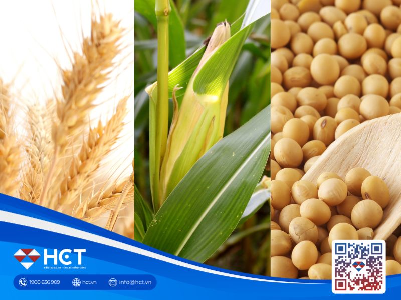 Nông sản 08/06: Lực bán đầu cơ gia tăng, nguồn cung dồi dào tiếp tục ép giá nhóm ngũ cốc