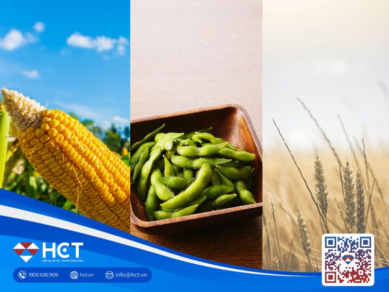 Nông sản 10/06: Đậu tương phục hồi từ đáy 4 tháng, chất lượng lúa mì Mỹ giảm kỷ lục