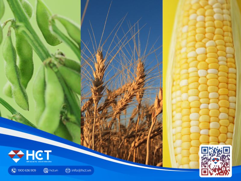 Nông sản 11/06: Đậu tương dứt đà giảm sâu, chất lượng lúa mì Mỹ tiếp tục lập đáy mới