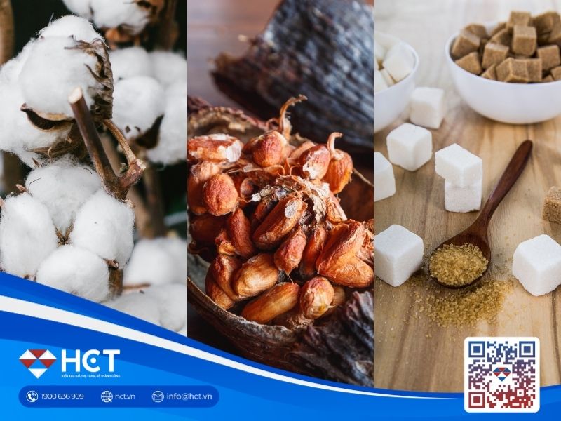 Nguyên liệu 11/6: Bông Mỹ rẻ hơn nhờ USD giảm, Ca cao xả hàng về cảng, Đường Ukraine hụt cung