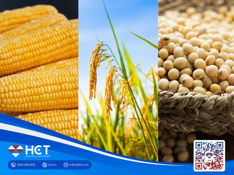 Nông sản 15/06: Giá ngô và lúa mì lao dốc về mức thấp kỷ lục do Mỹ - Iran đạt thỏa thuận sơ bộ